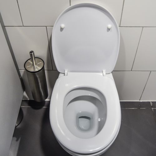 Toilet Repair & Installation in DFW
